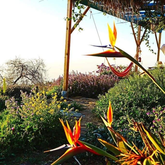 Villa Casita En El Campo Con Vista Al Oceano Tijarafe Exterior foto